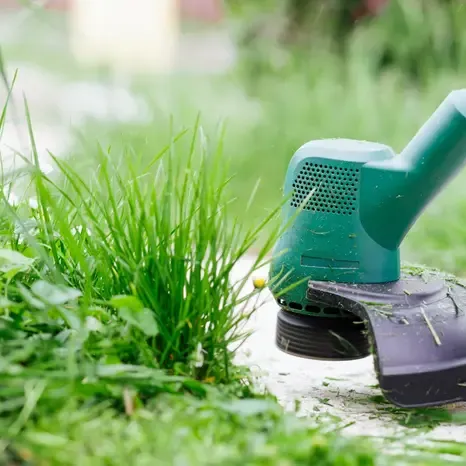 yard and lawn work and gardening services